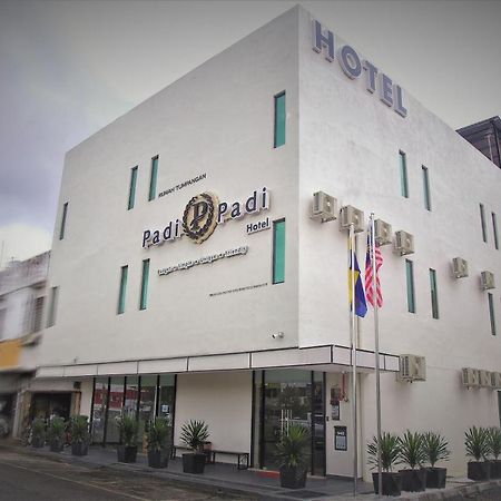 Padi Padi Hotel Kangar Eksteriør billede